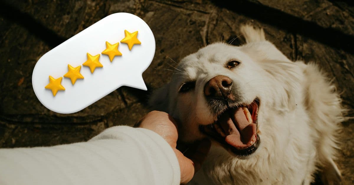 Build Trust for Pet Businesses