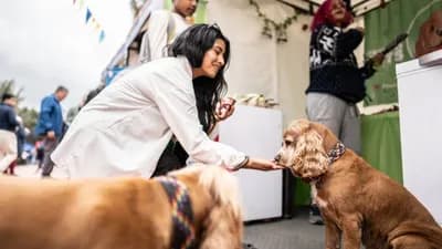 How Online Reviews Build Trust for Pet Businesses